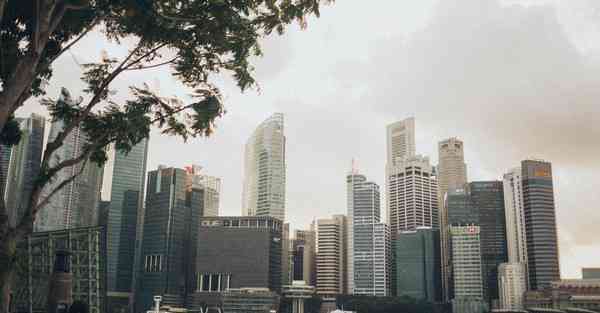 大数据改造店铺（如何获取别人店铺的数据）