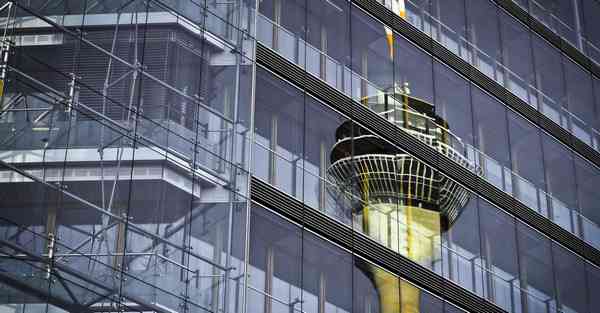 智能机器人仙人掌