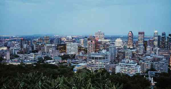 chatgpt被爆现技术漏洞（chatgpt注册技术）