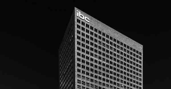 基于chatgpt的智能音箱，POTS语音设备