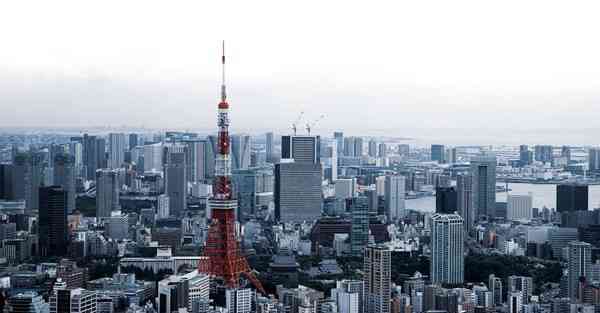 智能居家陪伴机器人