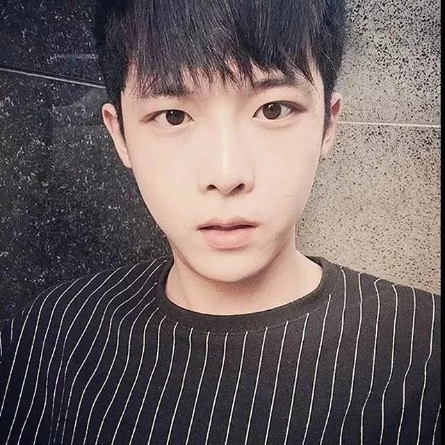 农蝶腾惠