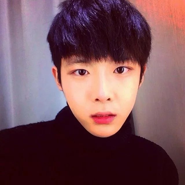 尹旭菲颖