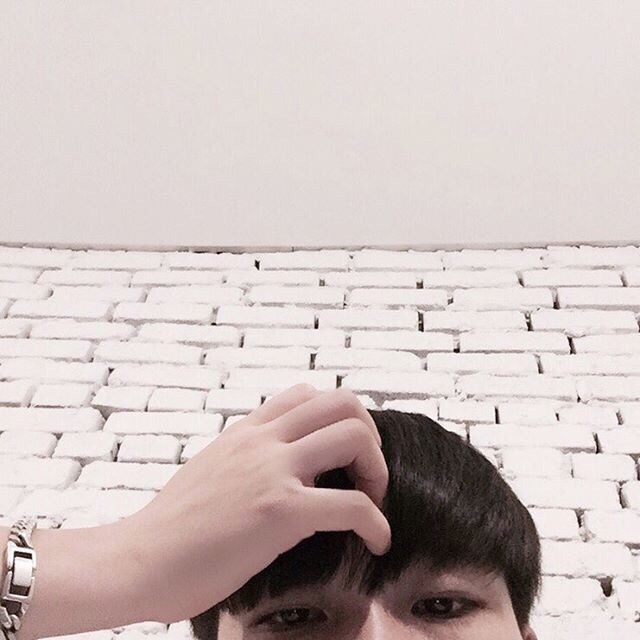 蔡瑾昌裕