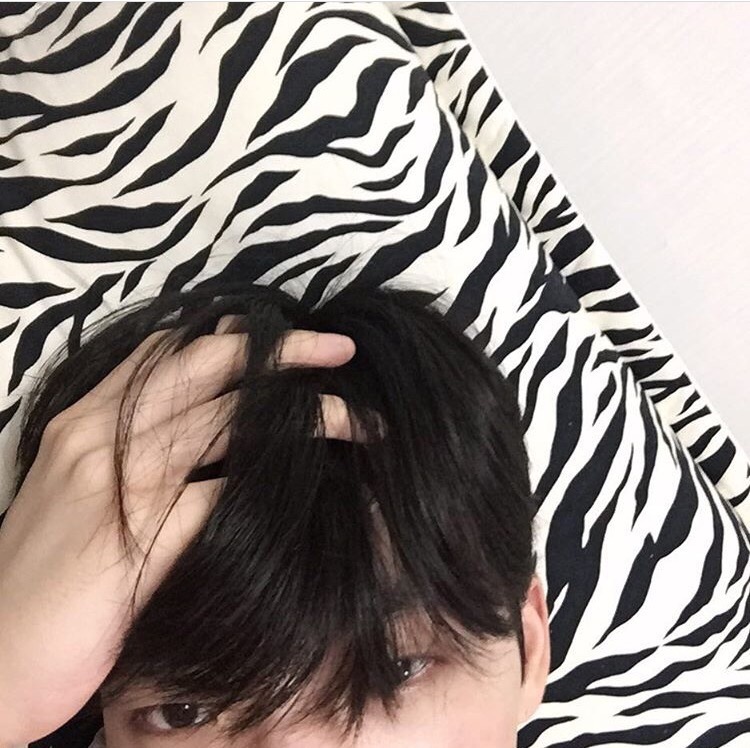 许灵旭珊