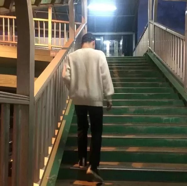 宣达丽苇