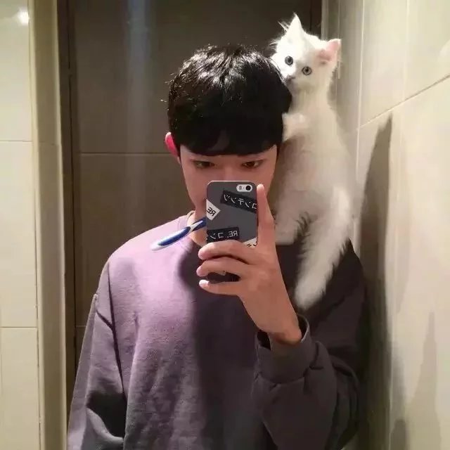 窦翔翰策
