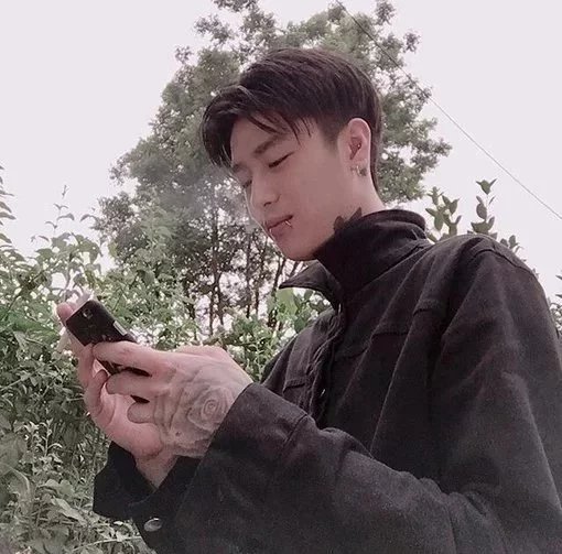 单辰青骅