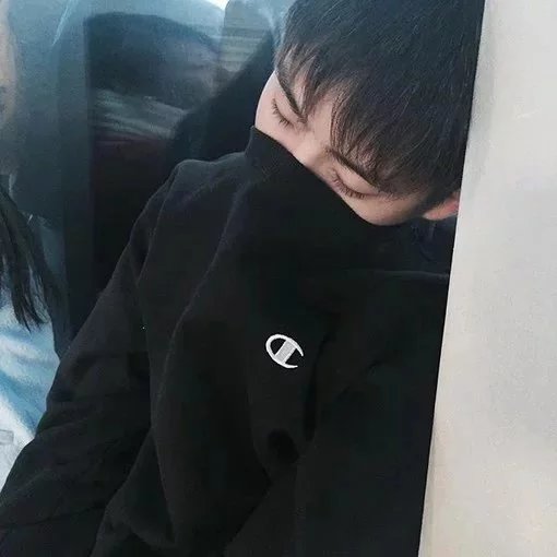 梅娇壮羽