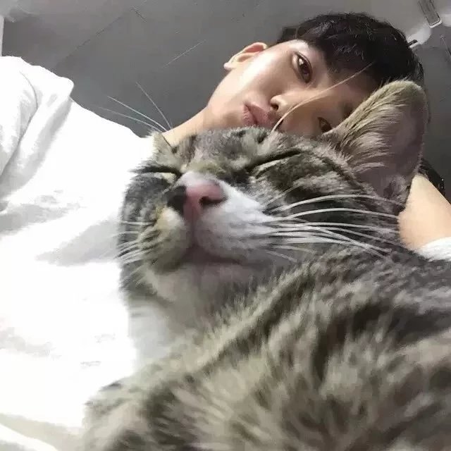 颜风锦竹