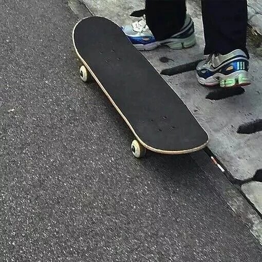 支元菊燕